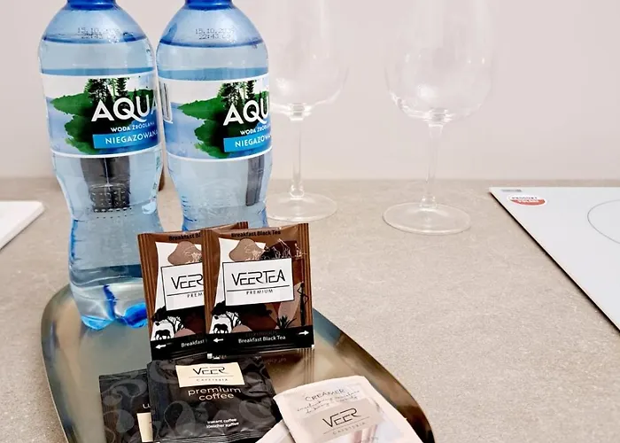 Poznaj Mickiewicza 2 公寓 *